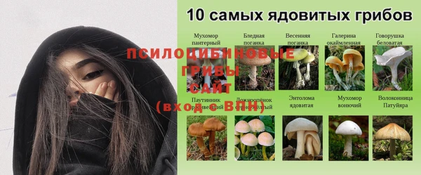 прущие крисы Алексеевка