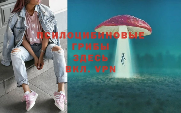 прущие крисы Алексеевка
