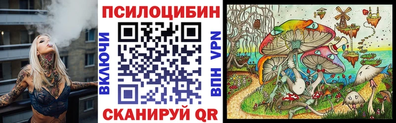 цена Багратионовск Псилоцибиновые грибы Psilocybine cubensis